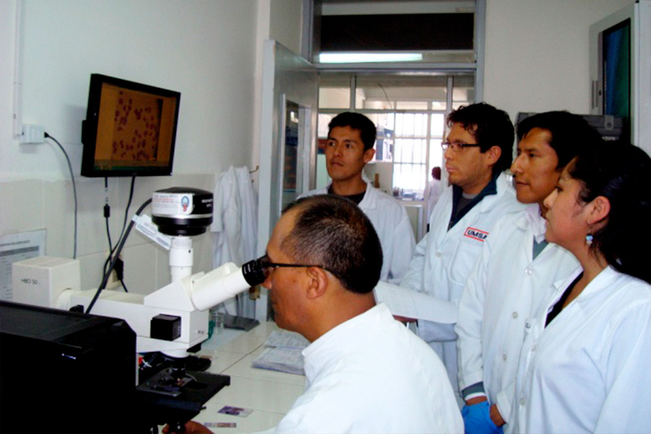 presentación Investigación